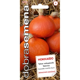 DS Tekvica HOKKAIDO ORANGE